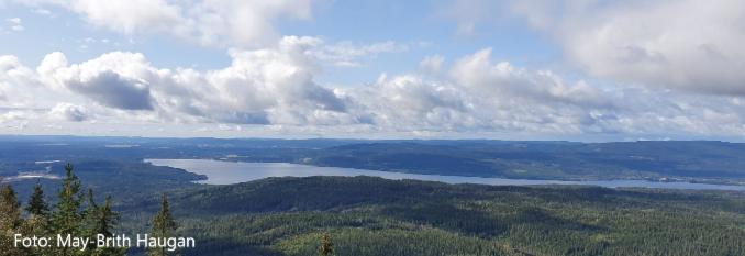 Fellestur til Mistberget
